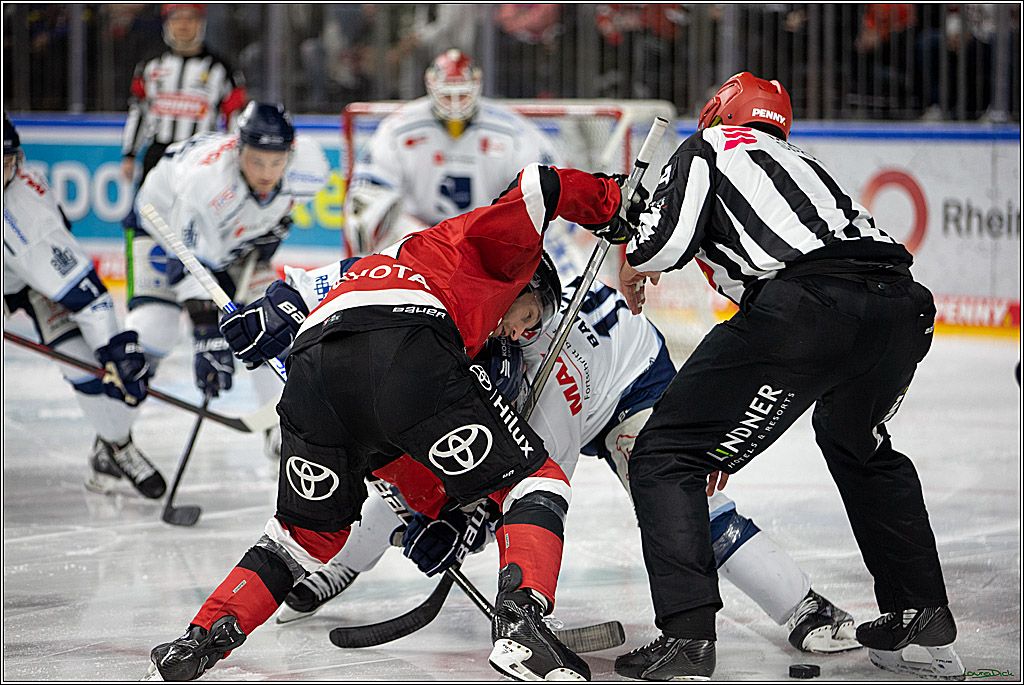 PENNY DEL;  Koelner Haie - Straubing Tigers; Koeln, 11.03.2022